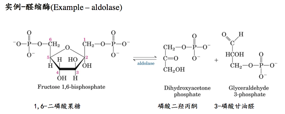 Фруктоза белки. Альдолаза реакция. Фруктоза альдолаза. Фруктозо 1 6 бисфосфат в глицеральдегид 3 фосфат. Фркутозо 1 6 бисфосфат.
